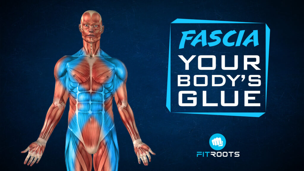 Fascia and weight loss