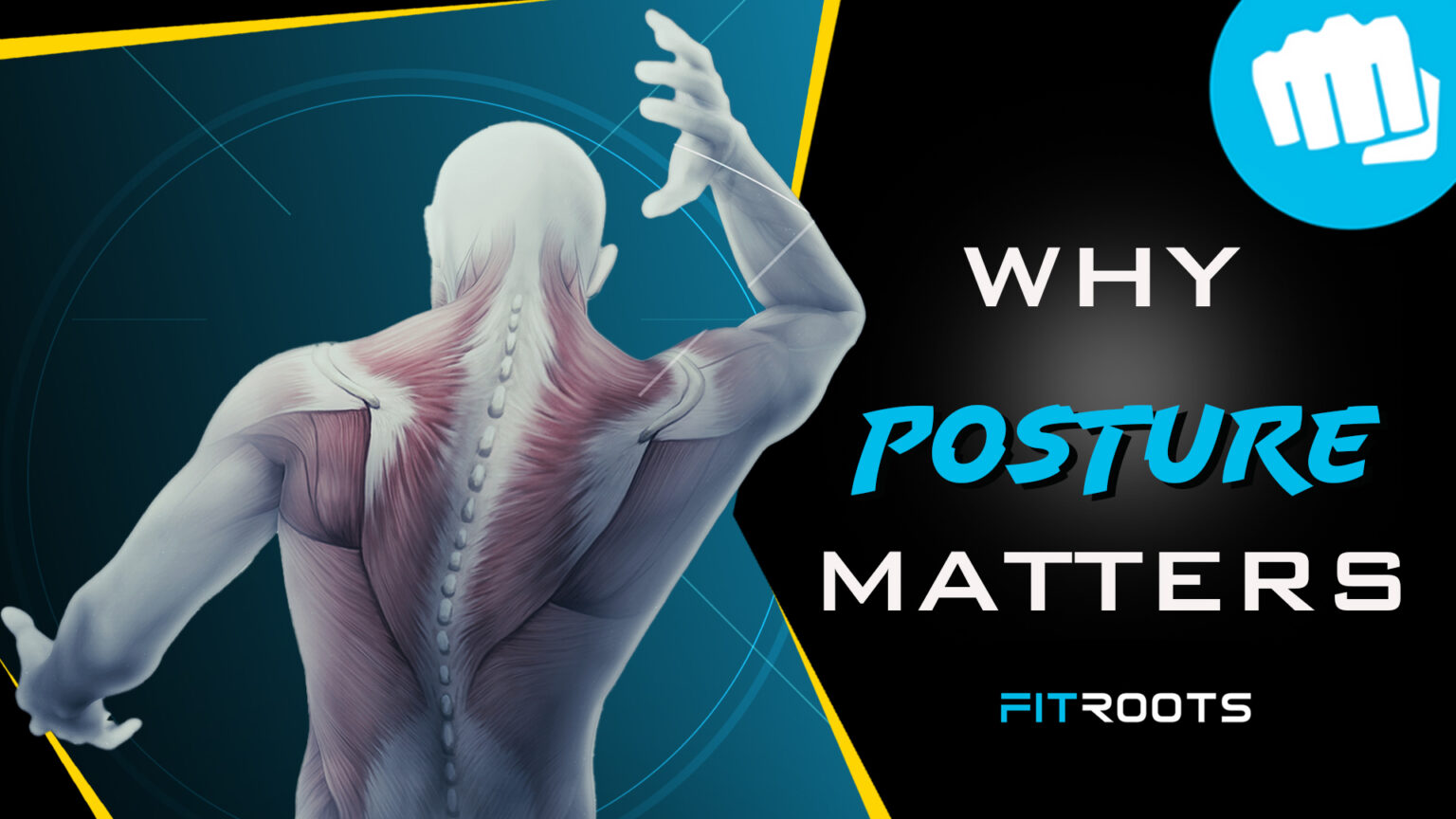 Why Posture Is Important & How It Affects Your Health - FitRoots